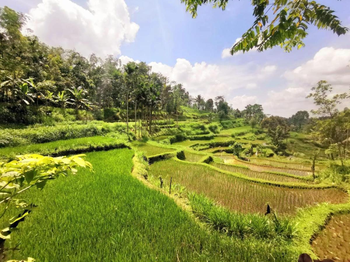 Tetebatu Sama Sama Bungalows Exterior foto